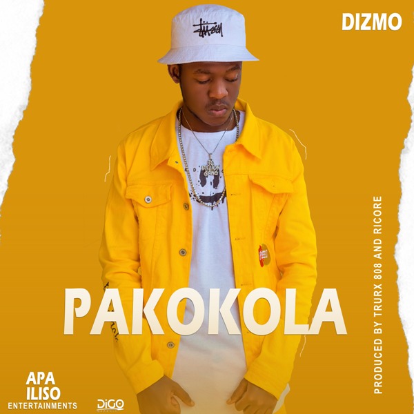 Dizmo – Pakokola (pro by Trurx 808)