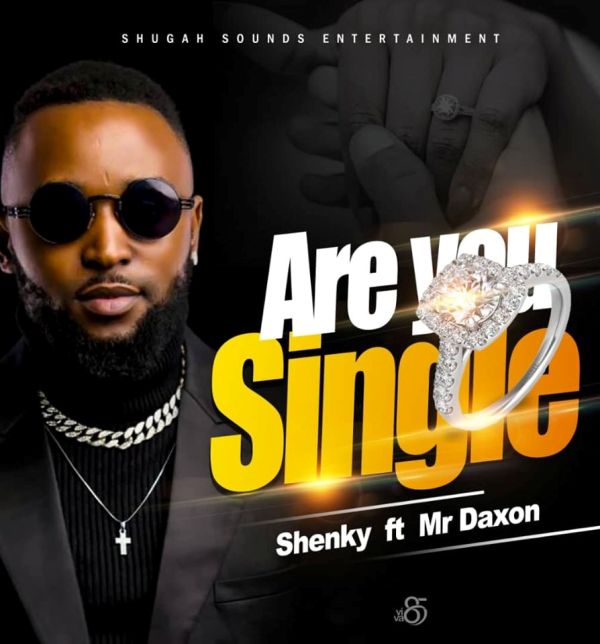 Shenky ft Mr Daxon- Are you Single