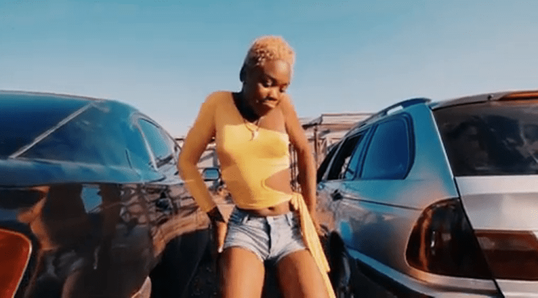 VIDEO: Y Celeb (408 Empire) – Fufu Zeze