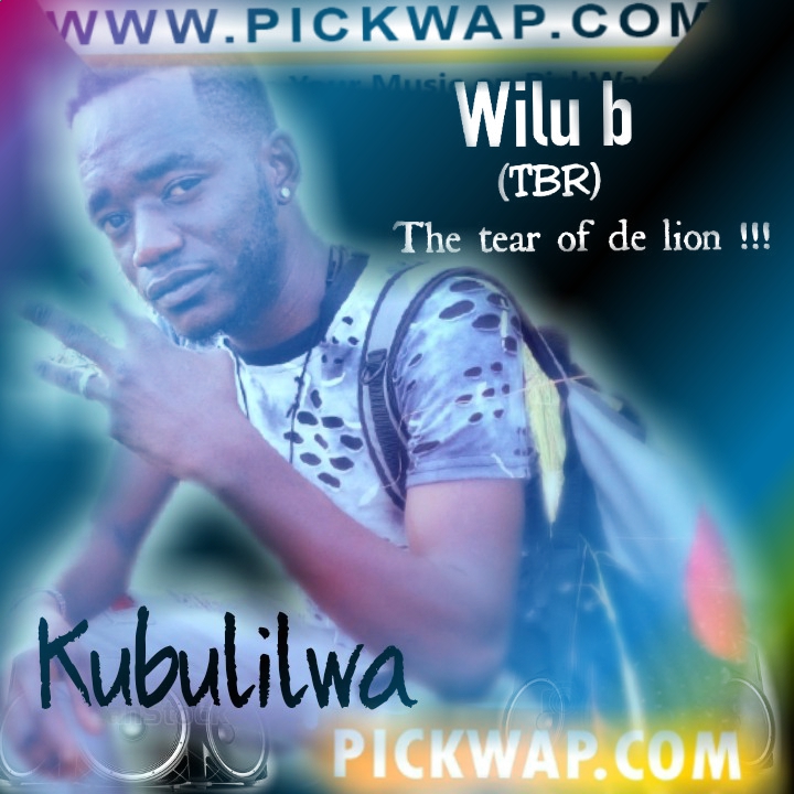 Wilu B – Kubulilwa