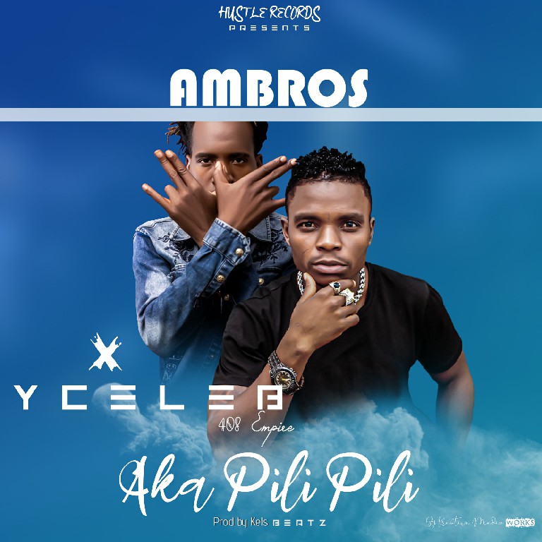 Ambros ft Y Celeb – Aka Pili Pili