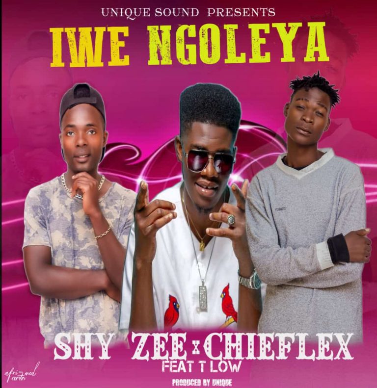 Shy Zee ft T Low x Chiieflex – Iwe Ngoleya