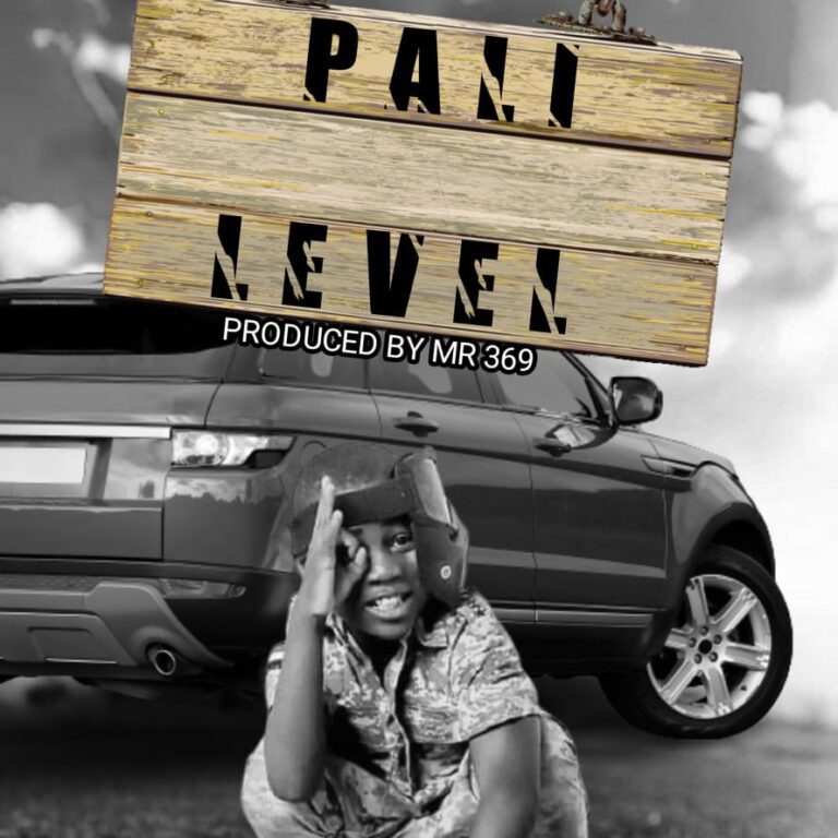 Fly J – Pali Level (Prod by Mr369)