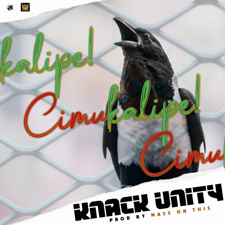 Knack Unity – Cimukalipe