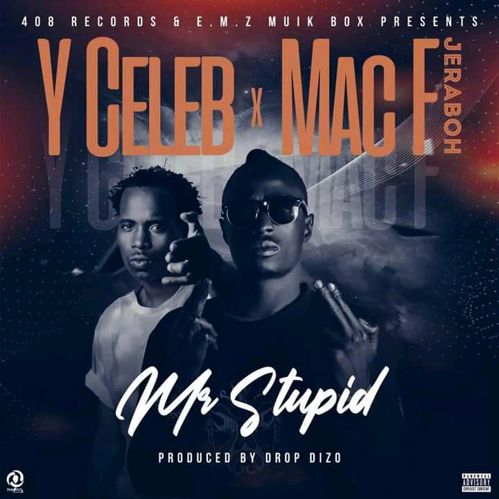 Y Celeb ft Mac F – Mr Stupid