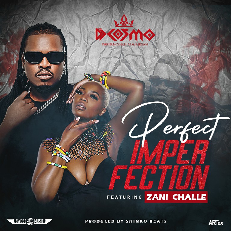 Dj Cosmo Ft Zani Challe – Perfect Imperfection (Prod By Shinko Beats)