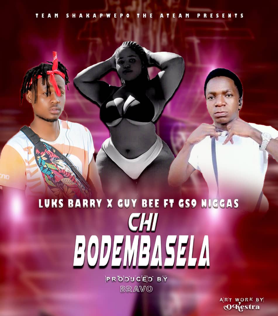 Luks Barry x Guy Bee ft GS9 Niggaz – Chi Bodembasela