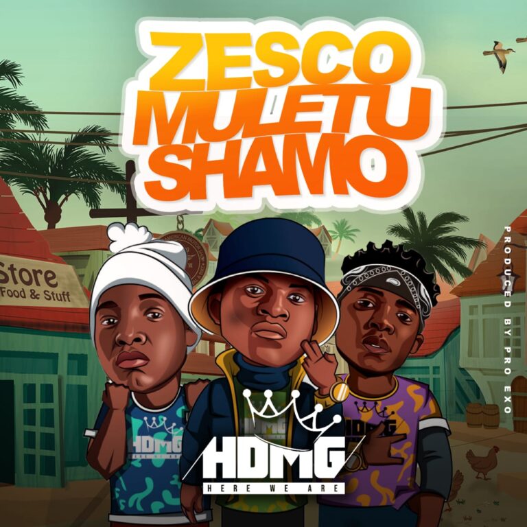 HDMG – Zesco Muletushamo