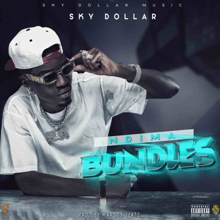 Sky Dollar – Ndima Bundles