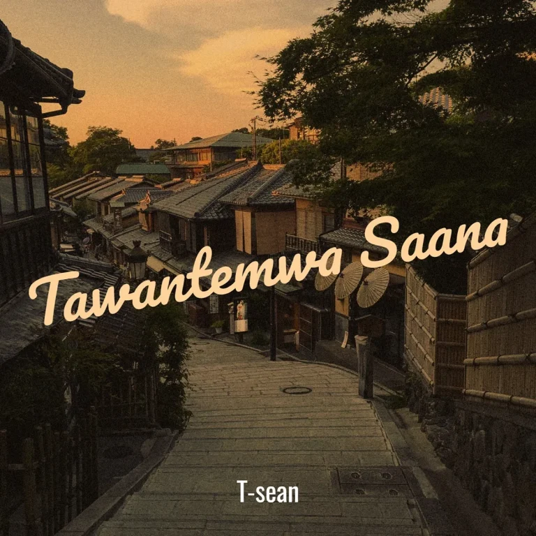 T Sean – Tawantemwa Saana